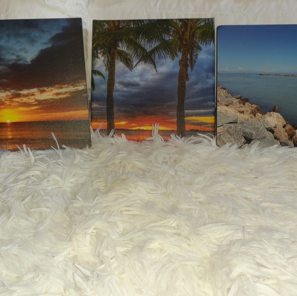 3 Palm Tree Paintings on canvas and foam - Picture 12 of 12